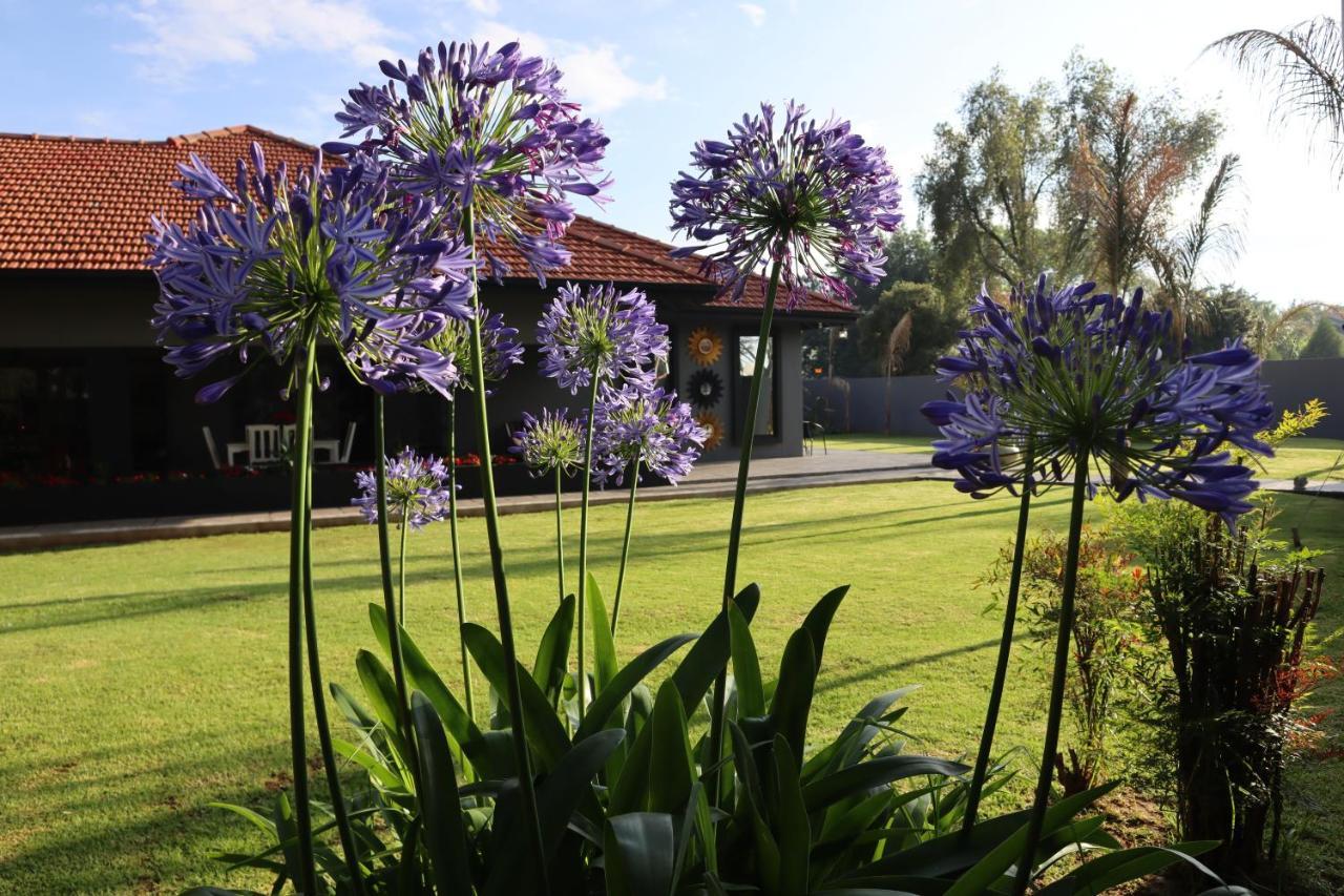וולקום Villa Grande Luxury Accommodation מראה חיצוני תמונה